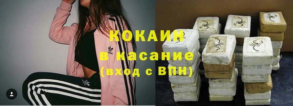 сатива Аркадак