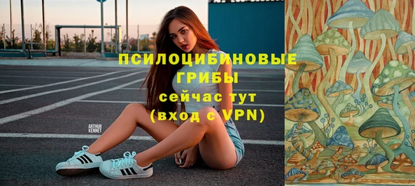 ешки Арсеньев