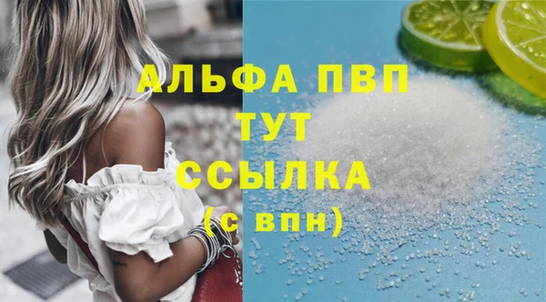 сатива Аркадак