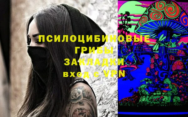 сатива Аркадак