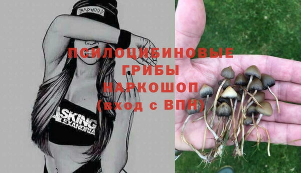 ешки Арсеньев