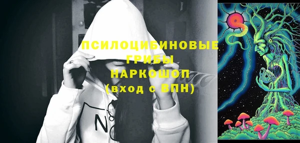 ешки Арсеньев