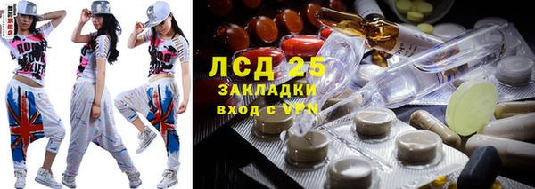сатива Аркадак