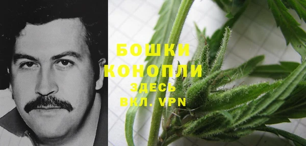 сатива Аркадак